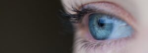 Auge