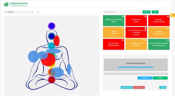 Own illustration - energetisch.fit energy field analysis